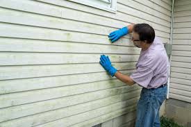 Affordable Siding Repair and Maintenance Services in Fetters Hot Springs Agua Caliente, CA